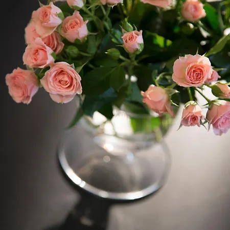 Hotel Ares Eiffel Paryż