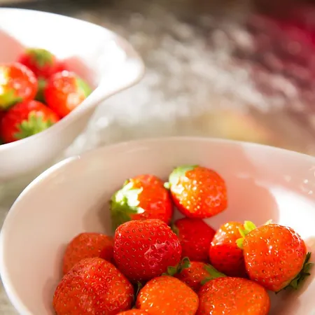 호텔 아레스 에펠 4*