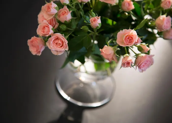 Hotel Ares Eiffel Parigi