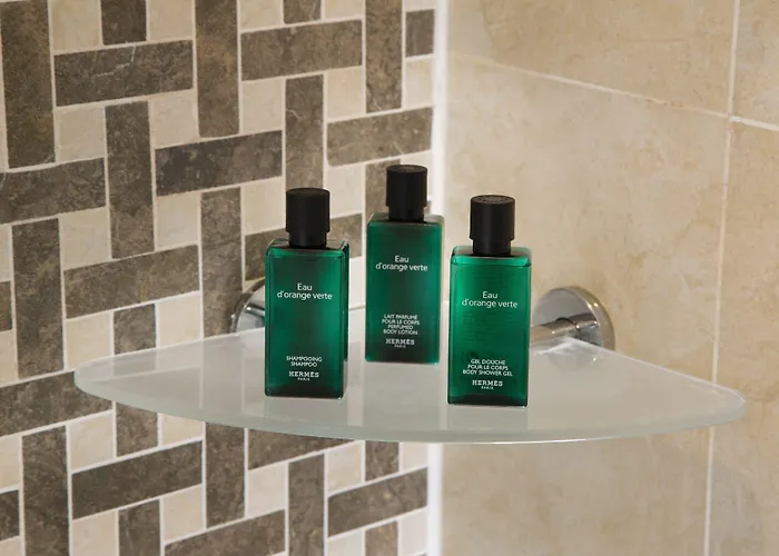 Hotel Ares Eiffel 4*